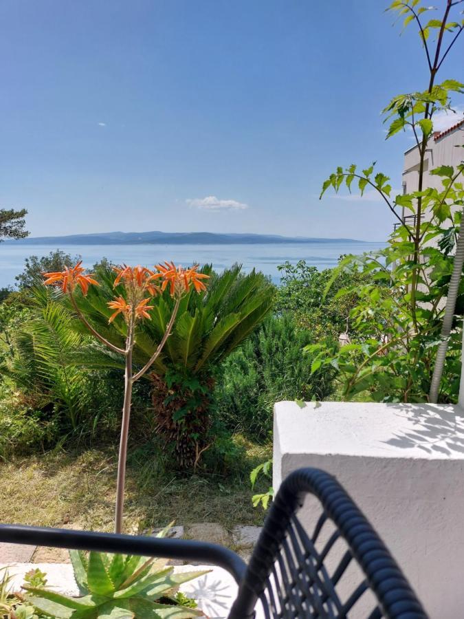 Villa Bratus 普罗马尼亚 外观 照片