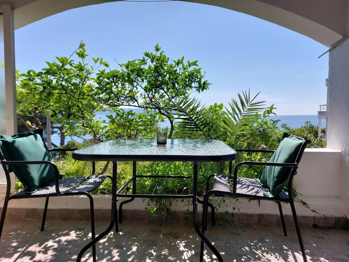Villa Bratus 普罗马尼亚 外观 照片